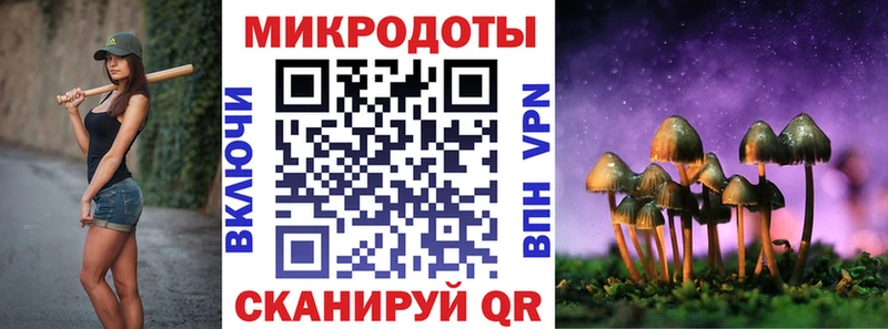 Псилоцибиновые грибы Psilocybe  Сольцы 